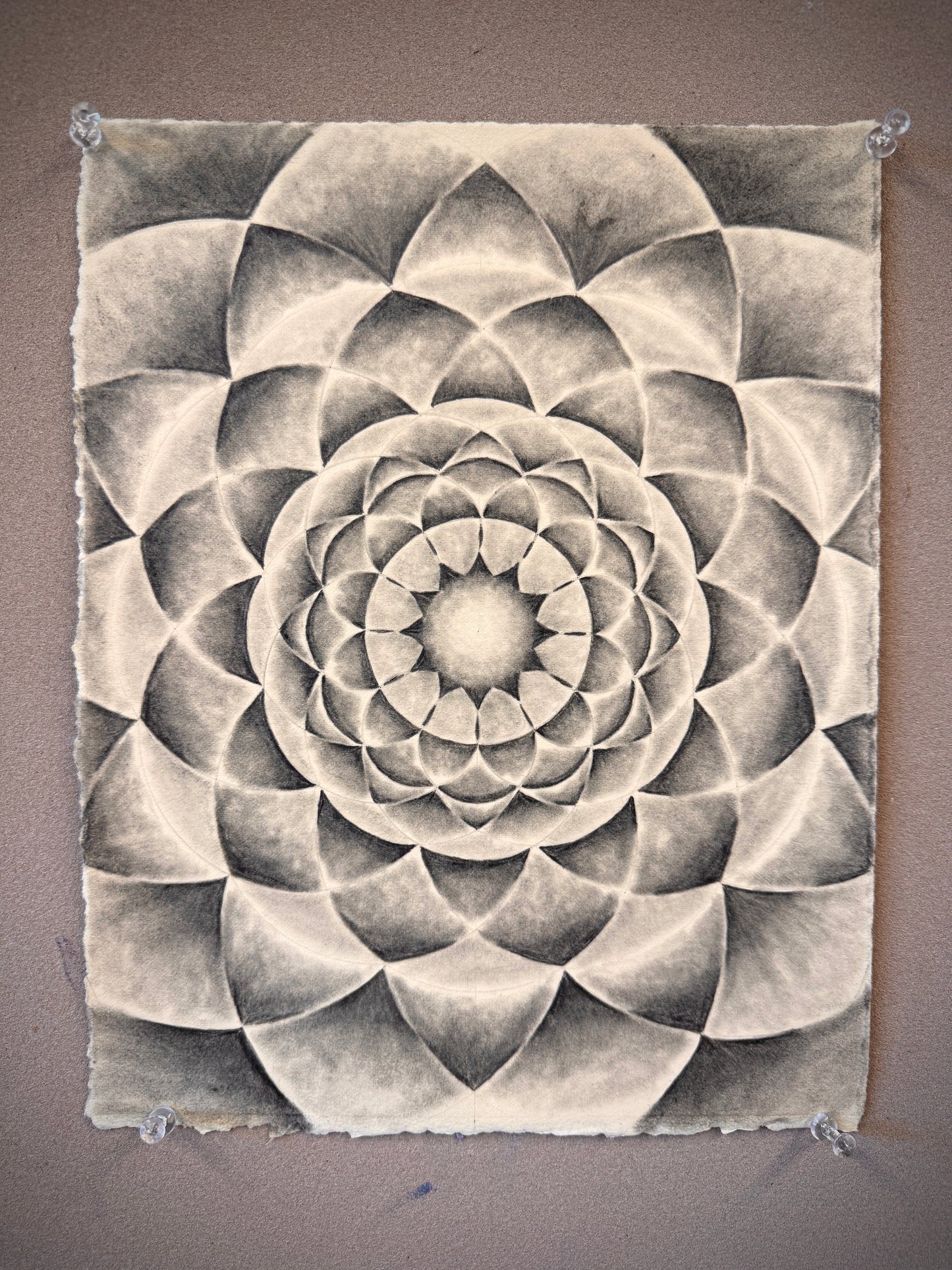My Mind In Bloom